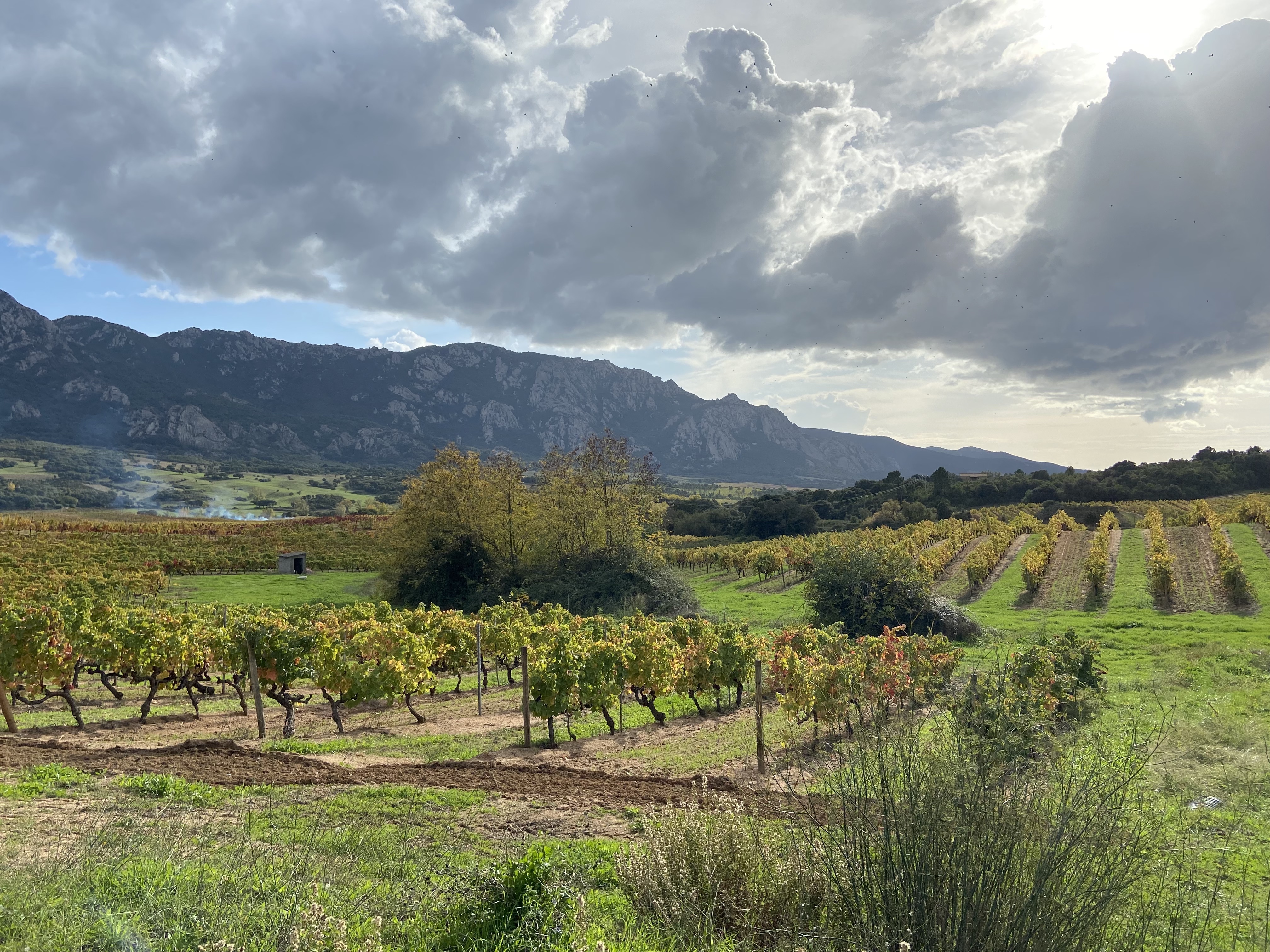 Saparale JPDA Jean-Philippe Doré Architecte Paris 