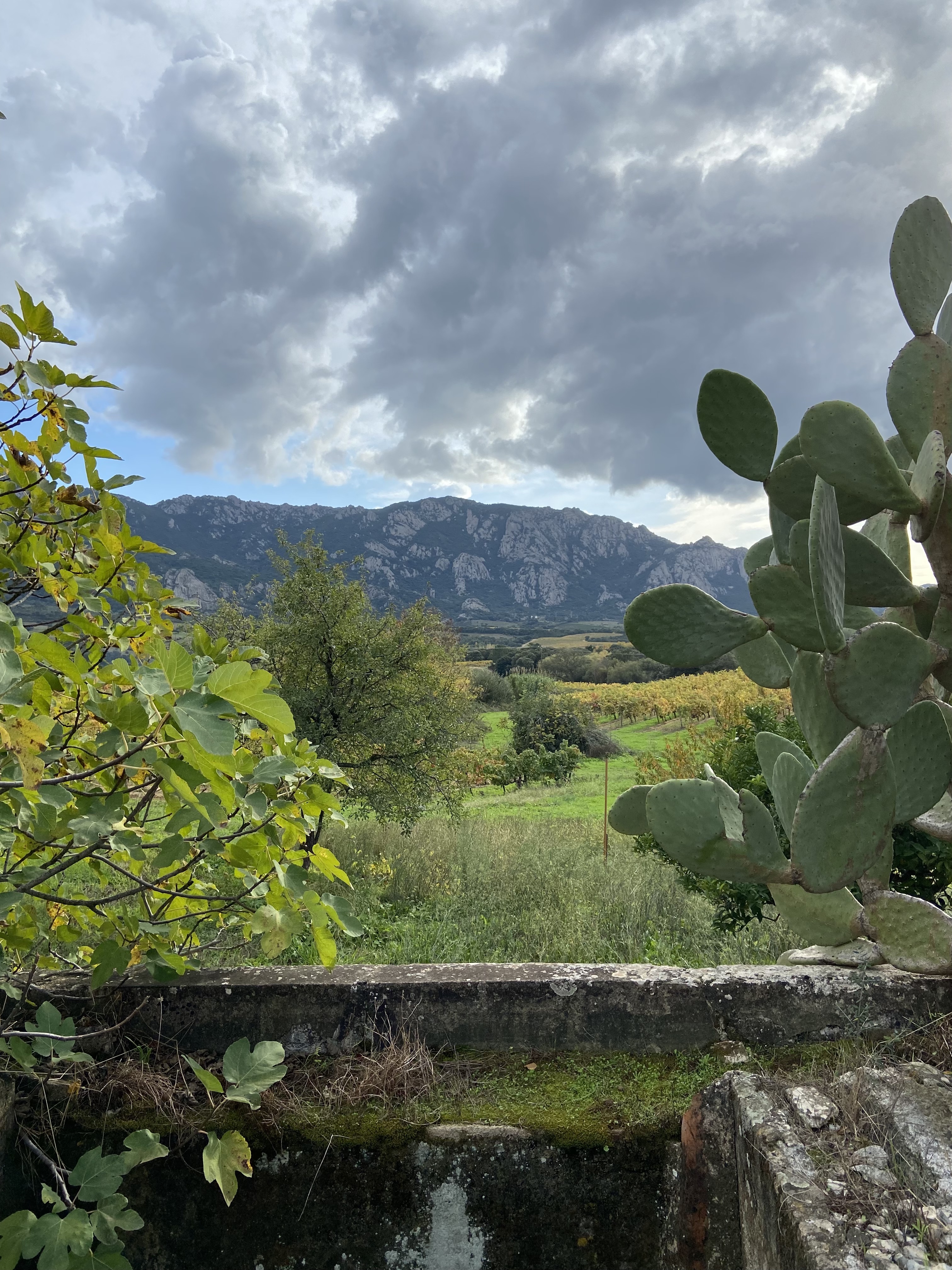 Saparale JPDA Jean-Philippe Doré Architecte Paris 