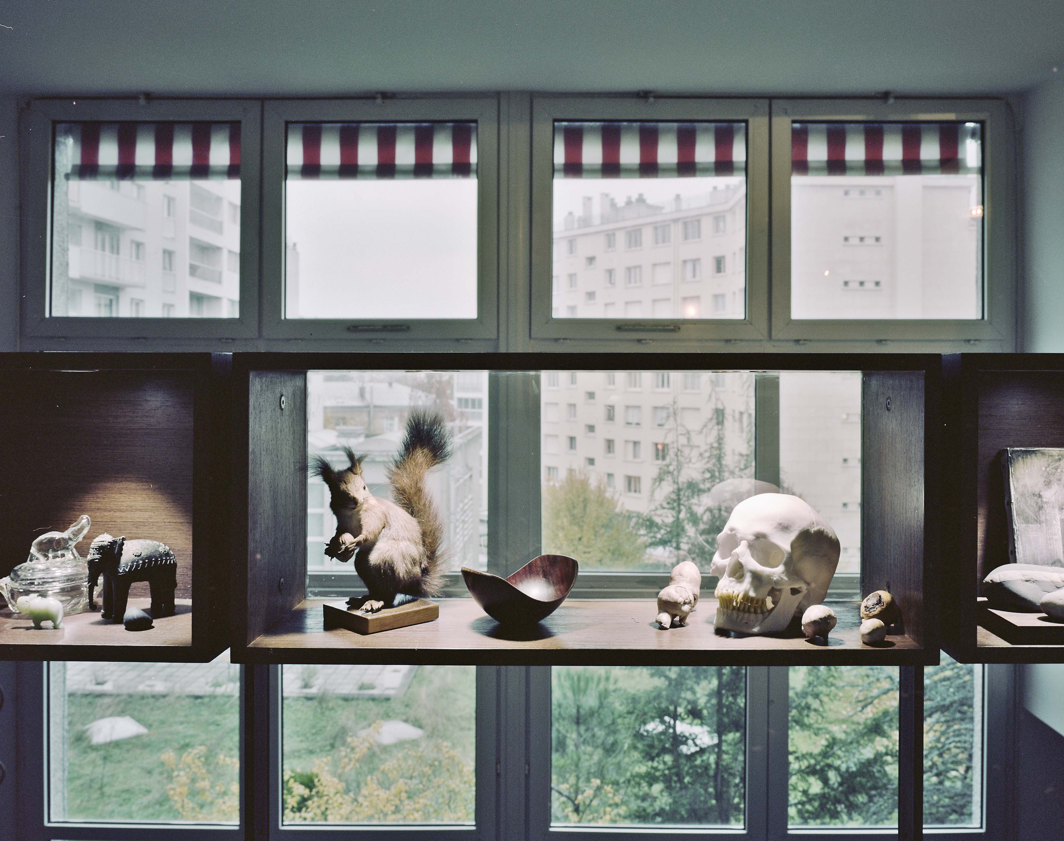 L’appartement d’un collectionneur JPDA Jean-Philippe Doré Architecte Paris 