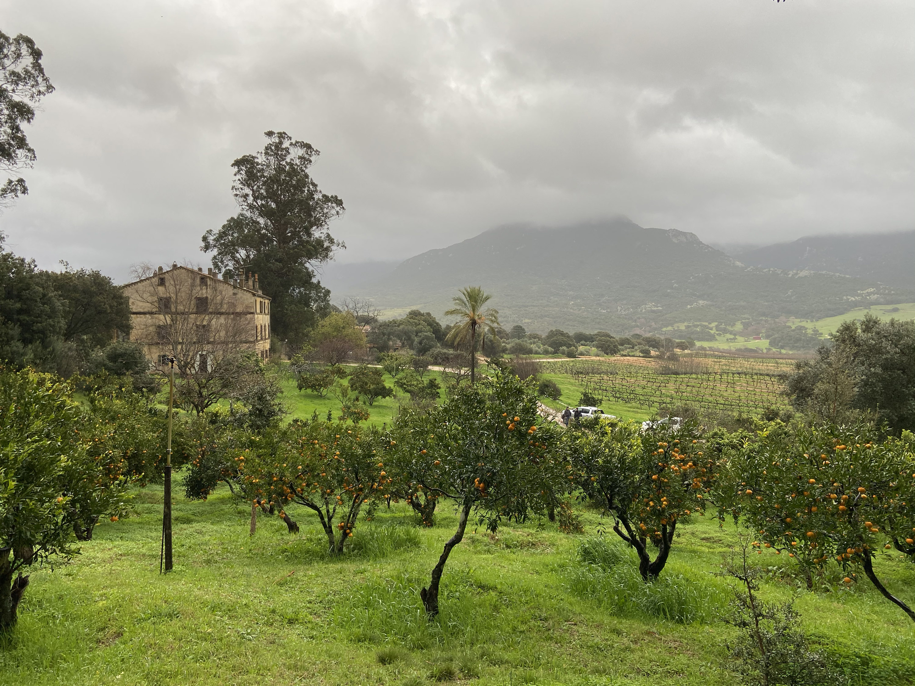 Saparale JPDA Jean-Philippe Doré Architecte Paris 